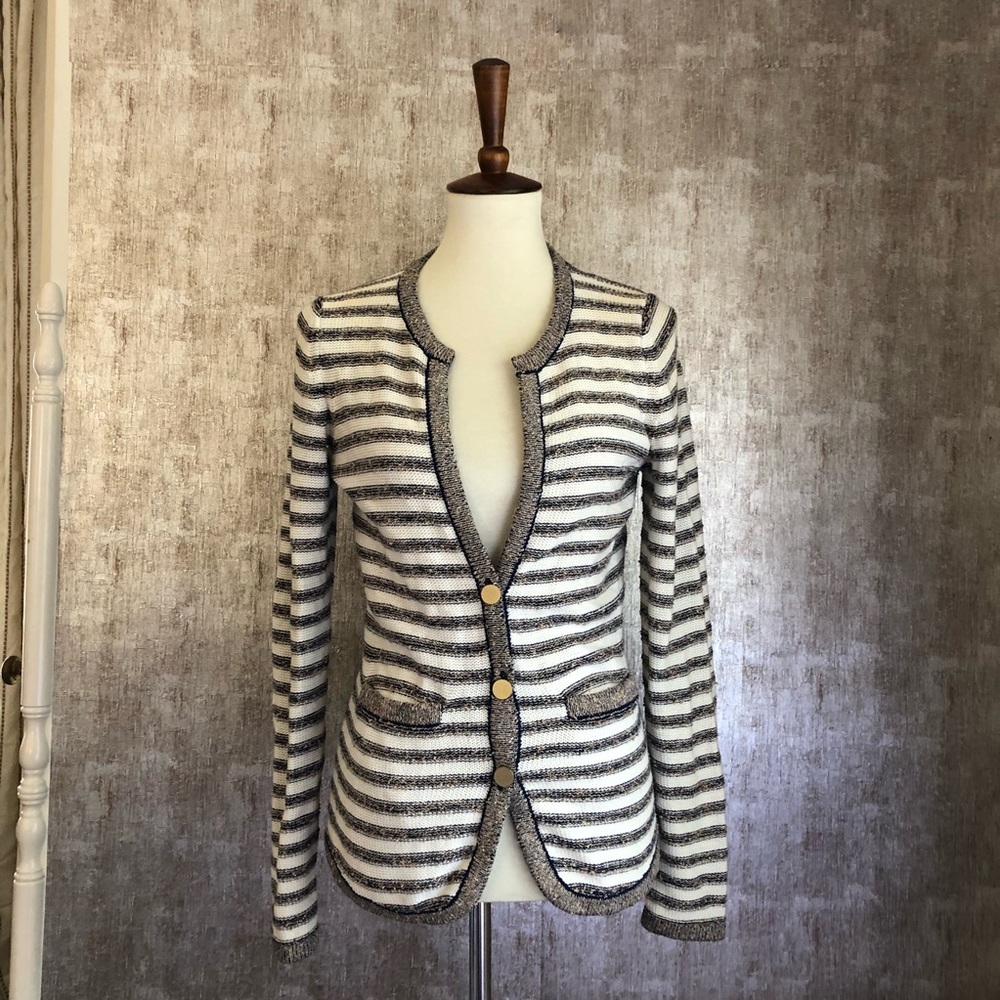 Banana Republic Metallic Striped Sweater